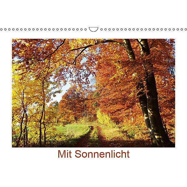 Mit Sonnenlicht (Wandkalender 2019 DIN A3 quer), Sergej Schmidt