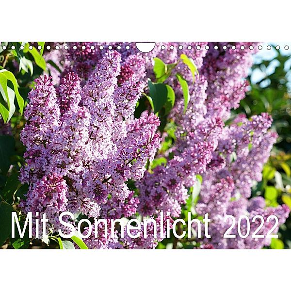 Mit Sonnenlicht (Wandkalender 2022 DIN A4 quer), Sergej Schmidt