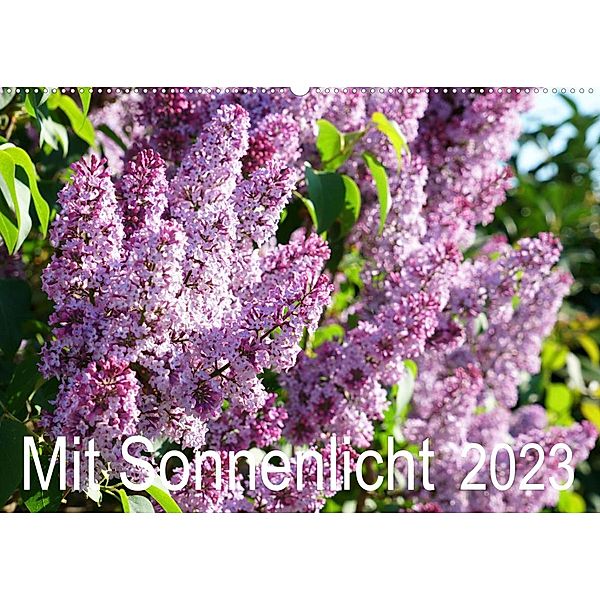 Mit Sonnenlicht (Wandkalender 2023 DIN A2 quer), Sergej Schmidt