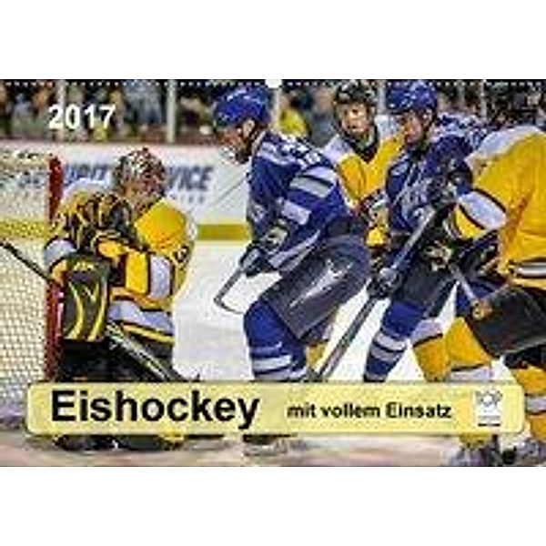 Mit vollem Einsatz - Eishockey (Wandkalender 2017 DIN A2 quer), Peter Roder