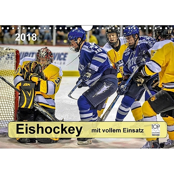 Mit vollem Einsatz - Eishockey (Wandkalender 2018 DIN A4 quer), Peter Roder