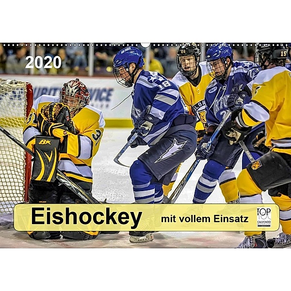 Mit vollem Einsatz - Eishockey (Wandkalender 2020 DIN A2 quer), Peter Roder