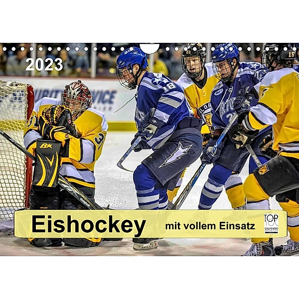 Mit vollem Einsatz - Eishockey (Wandkalender 2023 DIN A4 quer), Peter Roder