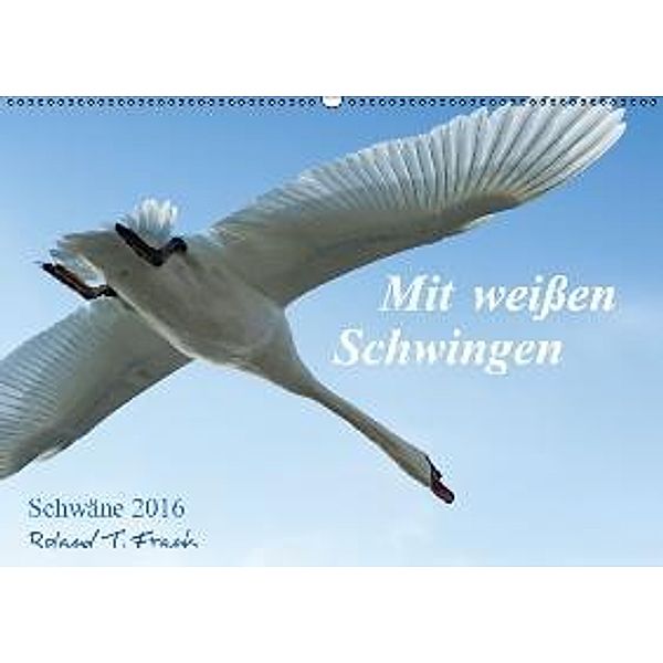 Mit weißen Schwingen. Schwäne 2016 (Wandkalender 2016 DIN A2 quer), Roland T. Frank