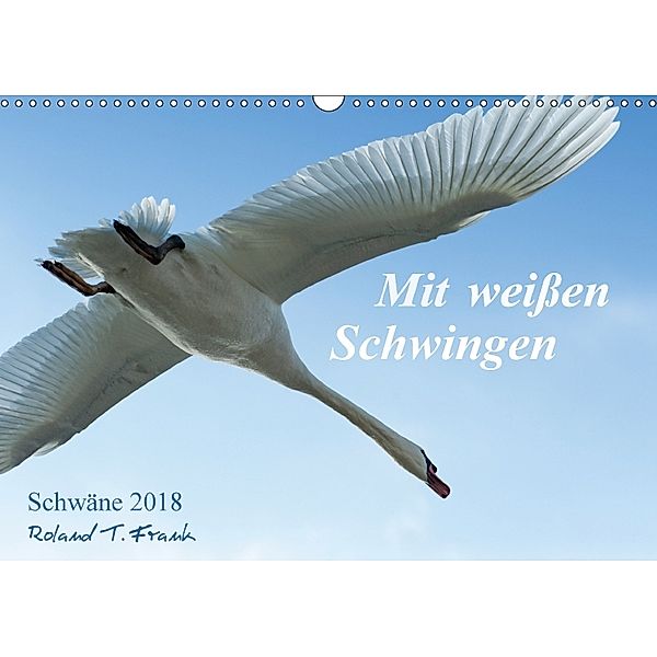 Mit weißen Schwingen. Schwäne 2018 (Wandkalender 2018 DIN A3 quer), Roland T. Frank