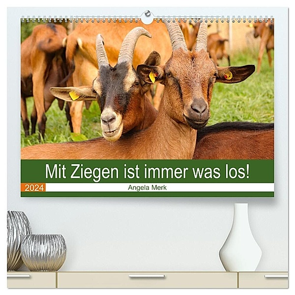 Mit Ziegen ist immer was los! (hochwertiger Premium Wandkalender 2024 DIN A2 quer), Kunstdruck in Hochglanz, Angela Merk