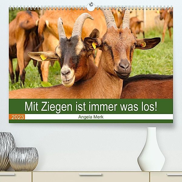 Mit Ziegen ist immer was los! (Premium, hochwertiger DIN A2 Wandkalender 2023, Kunstdruck in Hochglanz), Angela Merk