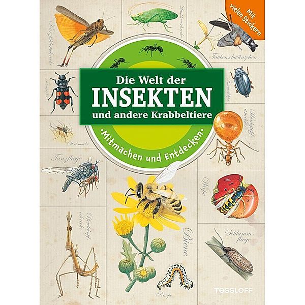 Mitmachen und Entdecken: Die Welt der Insekten und andere Krabbeltiere, Vicky Egan
