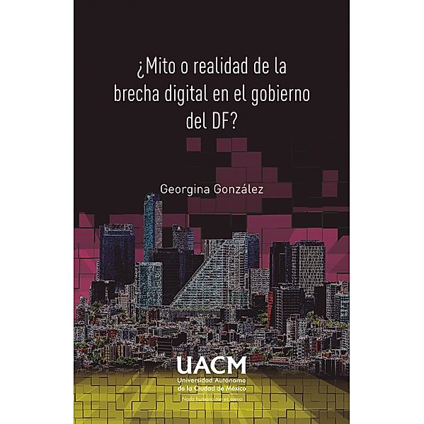 ¿Mito o realidad de la brecha digital en el gobierno del DF?, Georgina González