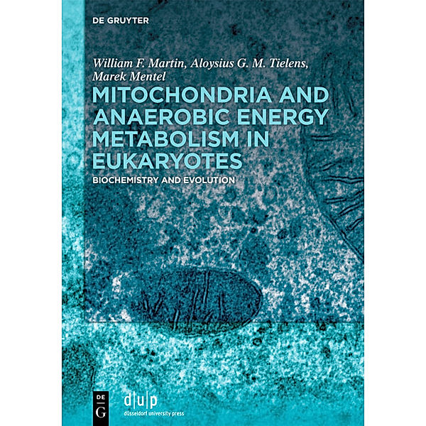 Mitochondria and Anaerobic Energy Metabolism in Eukaryotes, William F. Martin, Aloysius G. M. Tielens, Marek Mentel
