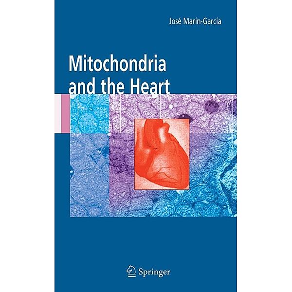 Mitochondria and the Heart / Developments in Cardiovascular Medicine Bd.256