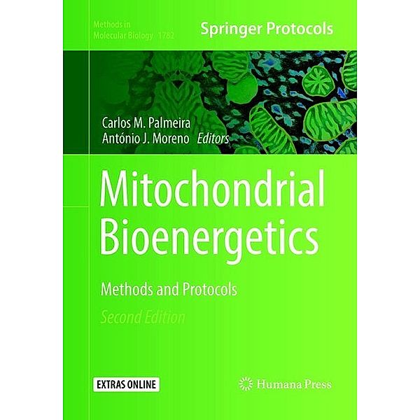 Mitochondrial Bioenergetics