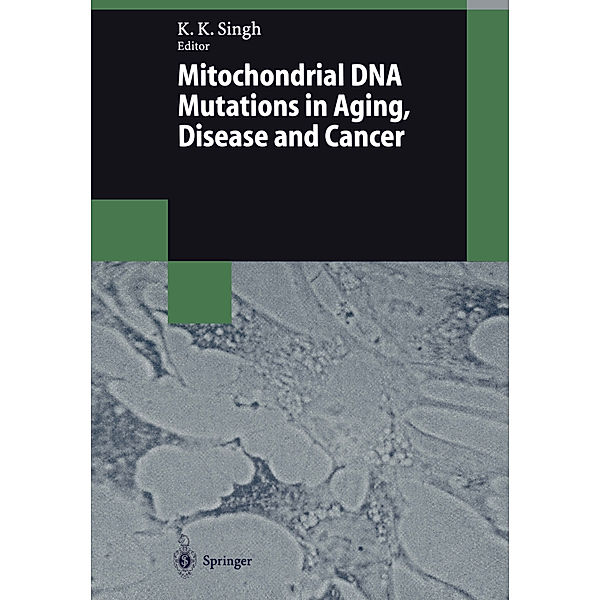 Mitochondrial DNA Mutations in Aging, Disease and Cancer