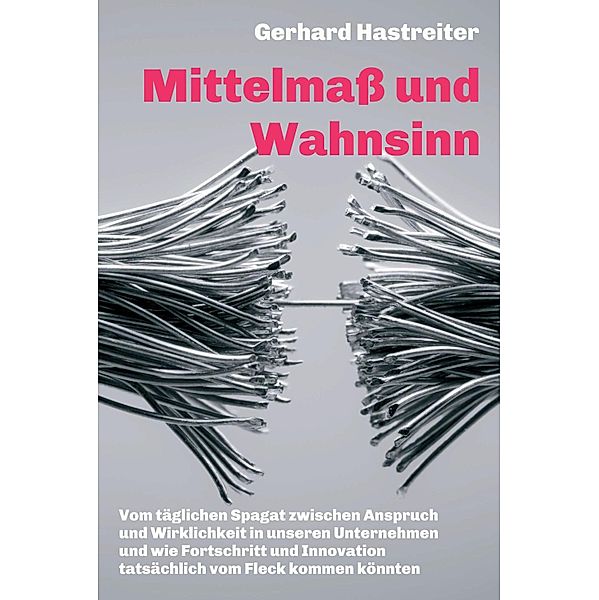 Mittelmaß und Wahnsinn, Gerhard Hastreiter