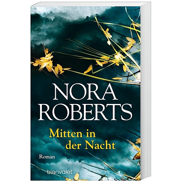 Mitten in der Nacht, Nora Roberts