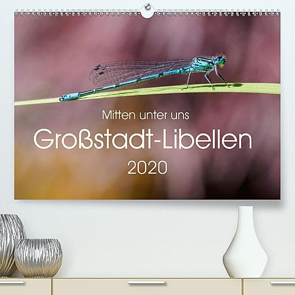 Mitten unter uns - Großstadt-Libellen (Premium-Kalender 2020 DIN A2 quer), Anne Wibke Hildebrandt