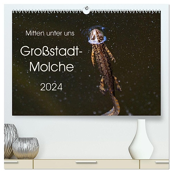 Mitten unter uns - Grossstadt-Molche (hochwertiger Premium Wandkalender 2024 DIN A2 quer), Kunstdruck in Hochglanz, Anne Wibke Hildebrandt