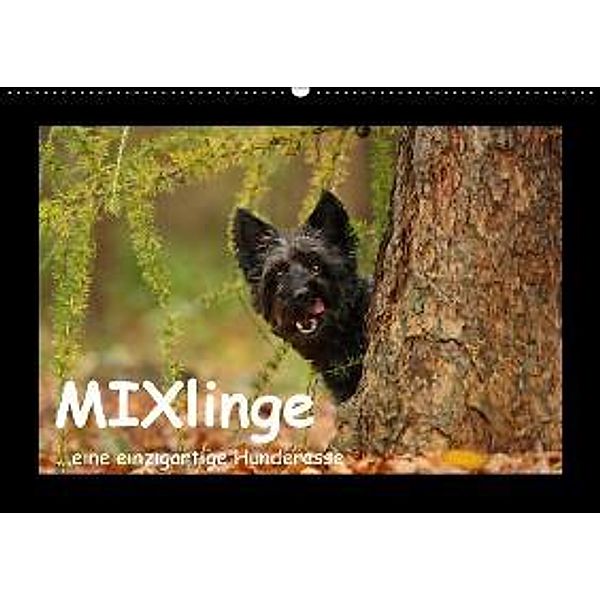 MIXlinge (Wandkalender 2016 DIN A2 quer), Kathrin Köntopp