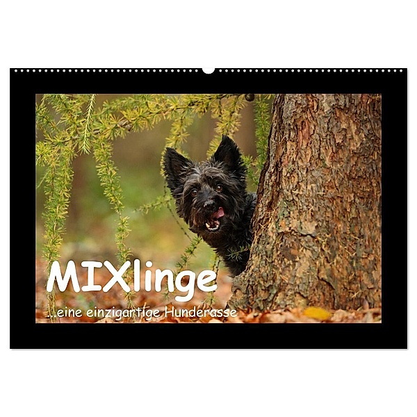 MIXlinge (Wandkalender 2024 DIN A2 quer), CALVENDO Monatskalender, Kathrin Köntopp