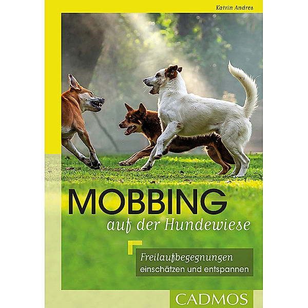 Mobbing auf der Hundewiese, Katrin Andres