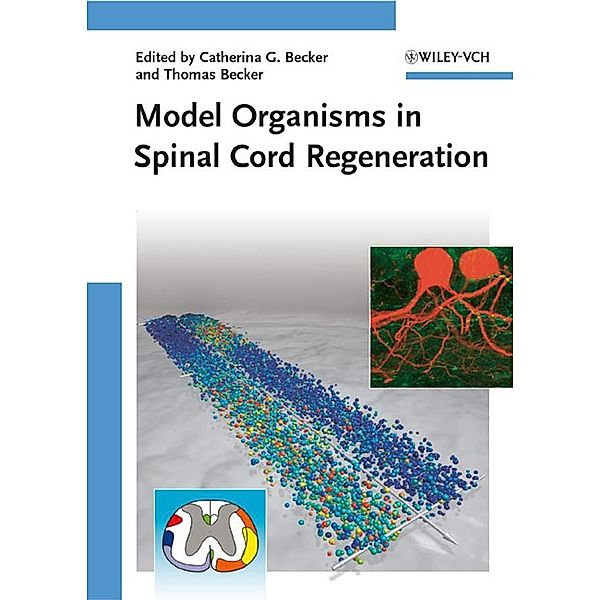 Model Organisms in Spinal Cord Regeneration
