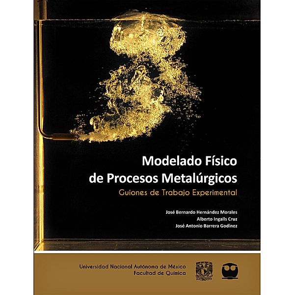 Modelado Físico de Procesos Metalúrgicos. Guiones de Trabajo Experimental, José Bernardo Hernández Morales, Alberto Ingalls Cruz, José Antonio Barrera Godínez