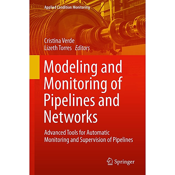 Modeling and Monitoring of Pipelines and Networks