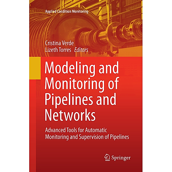 Modeling and Monitoring of Pipelines and Networks