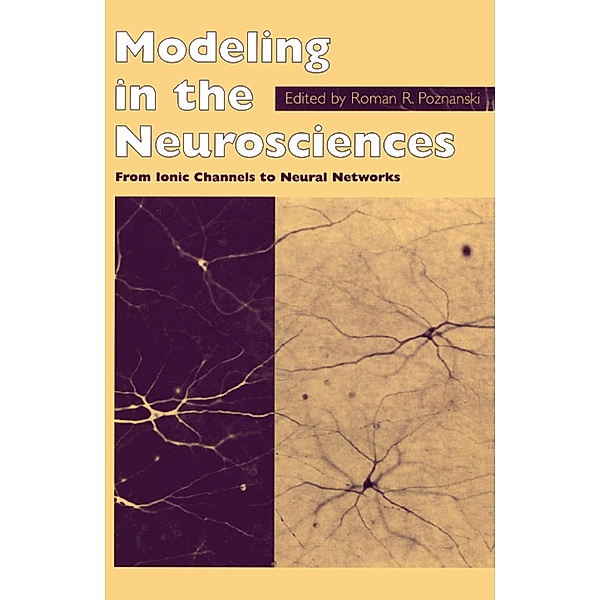 Modeling in the Neurosciences
