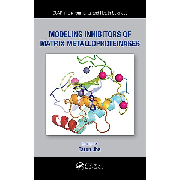 Modeling Inhibitors of Matrix Metalloproteinases