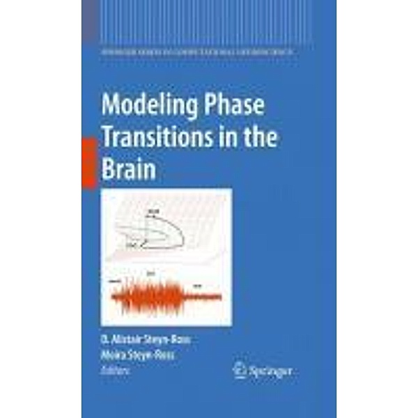 Modeling Phase Transitions in the Brain / Springer Series in Computational Neuroscience Bd.4