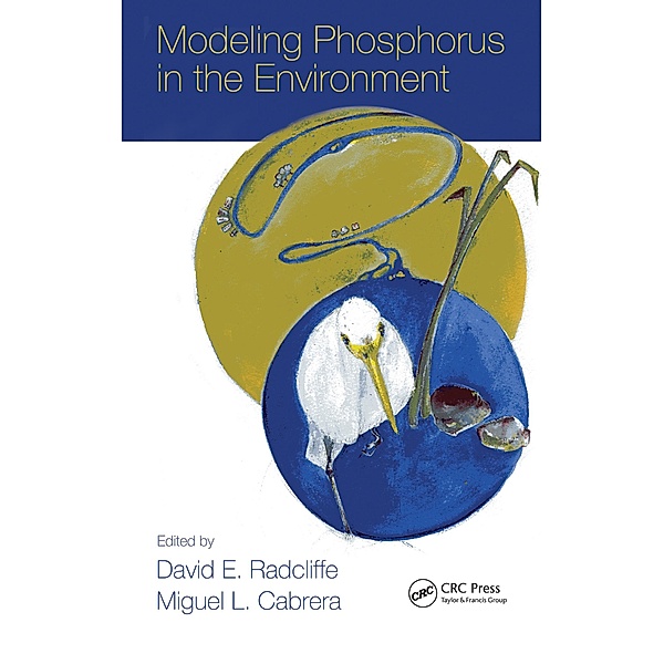 Modeling Phosphorus in the Environment