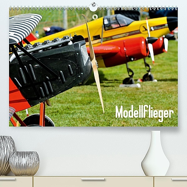 Modellflieger / CH-Version (Premium-Kalender 2020 DIN A2 quer), Bernd Selig