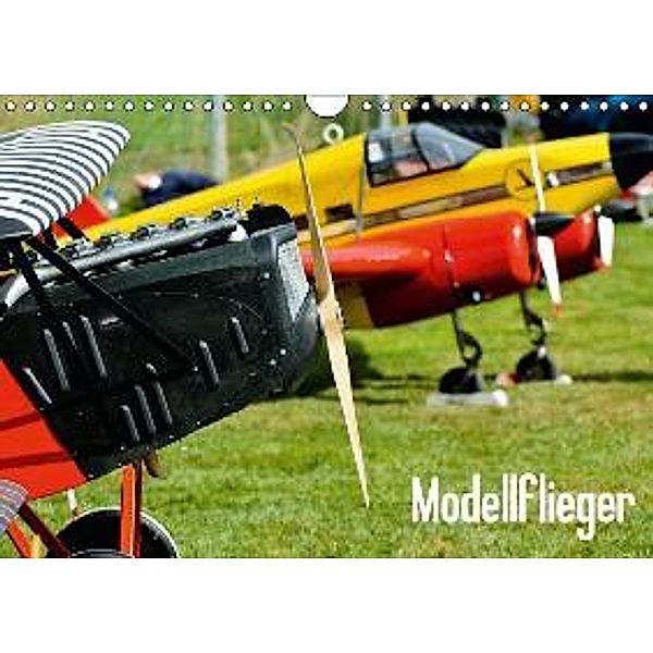 Modellflieger / CH-Version (Wandkalender 2015 DIN A4 quer), Bernd Selig