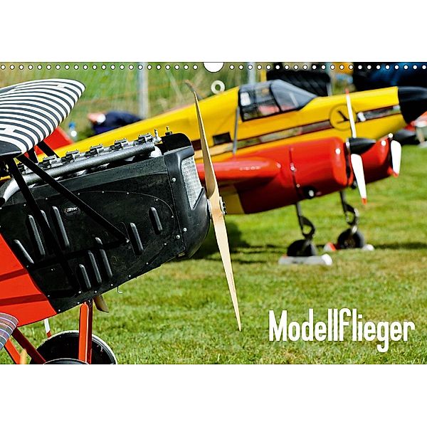 Modellflieger / CH-Version (Wandkalender 2020 DIN A3 quer), Bernd Selig