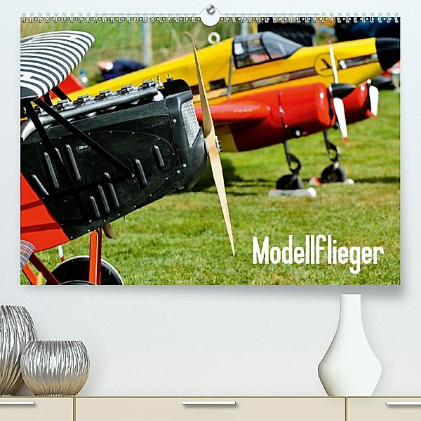Modellflieger(Premium, hochwertiger DIN A2 Wandkalender 2020, Kunstdruck in Hochglanz), Bernd Selig