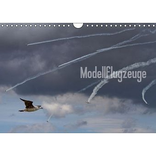 Modellflugzeuge Nr. 1 / 2016 (Wandkalender 2016 DIN A4 quer), Nik van Veenendaal