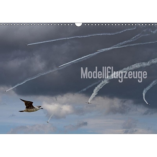 Modellflugzeuge Nr. 1 / 2017 (Wandkalender 2017 DIN A3 quer), Nik van Veenendaal Fotografie vv-design.com, Nik van Veenendaal