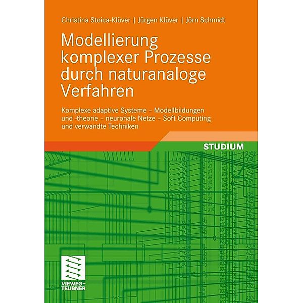 Modellierung komplexer Prozesse durch naturanaloge Verfahren, Christina Klüver, Jürgen Klüver, Jörn Schmidt