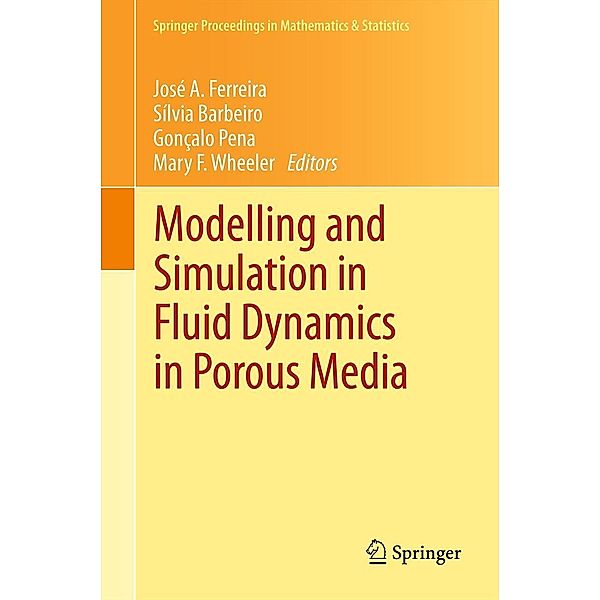 Modelling and Simulation in Fluid Dynamics in Porous Media / Springer Proceedings in Mathematics & Statistics Bd.28