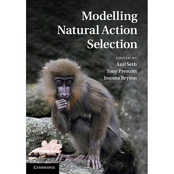 Modelling Natural Action Selection