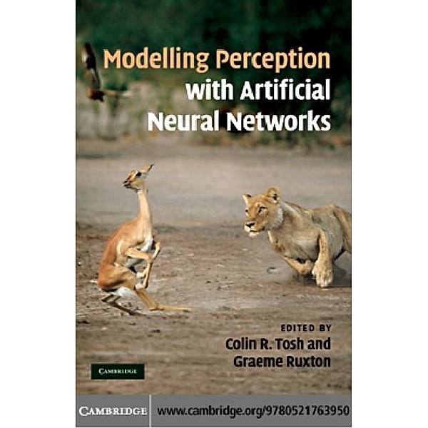 Modelling Perception with Artificial Neural Networks