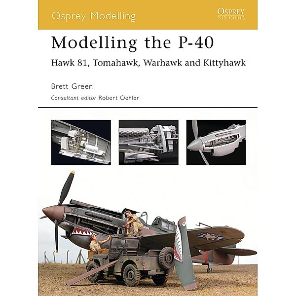 Modelling the P-40, Brett Green