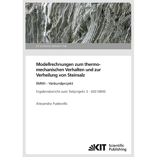 Modellrechnungen zum thermomechanischen Verhalten und zur Verheilung von Steinsalz: BMWi - Verbundprojekt Ergebnisbericht zum Teilprojekt 3 - 02E10840, Alexandra Pudewills