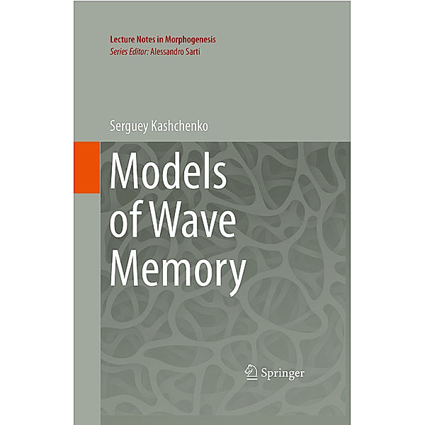 Models of Wave Memory, Serguey Kashchenko