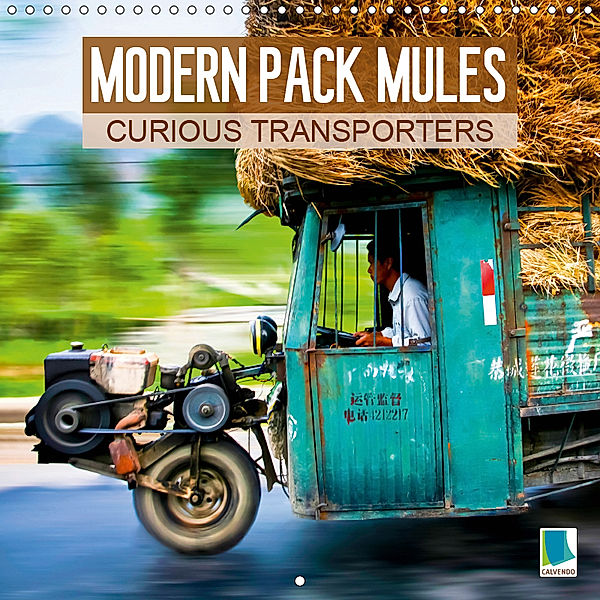 Modern pack mules: Curious transporters (Wall Calendar 2019 300 × 300 mm Square), CALVENDO