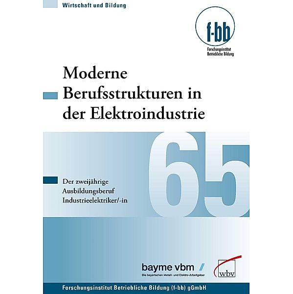 Moderne Berufsstrukturen in der Elektroindustrie / Wirtschaft und Bildung Bd.65, Sylvia Krenn, Felix Stumpf