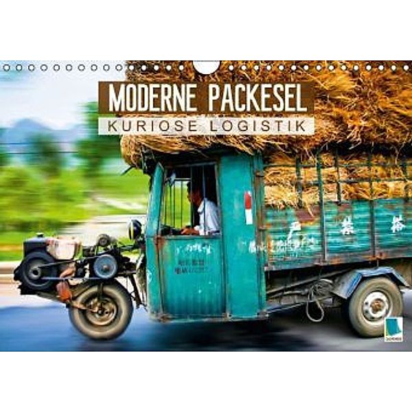Moderne Packesel: kuriose Logistik (Wandkalender 2015 DIN A4 quer), CALVENDO