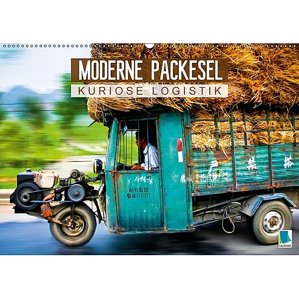 Moderne Packesel: kuriose Logistik (Wandkalender 2018 DIN A2 quer), CALVENDO