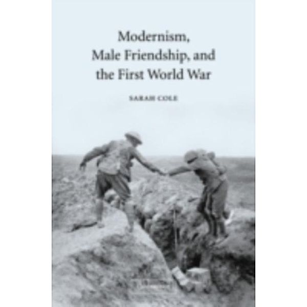 Modernism, Male Friendship, and the First World War, Sarah Cole